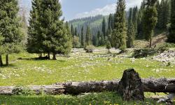 Featured image of post Outdoors