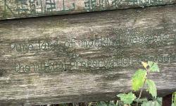 Featured image of post A Fantastic Journey to Altay