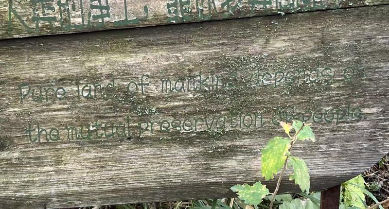 Featured image of post A Fantastic Journey to Altay