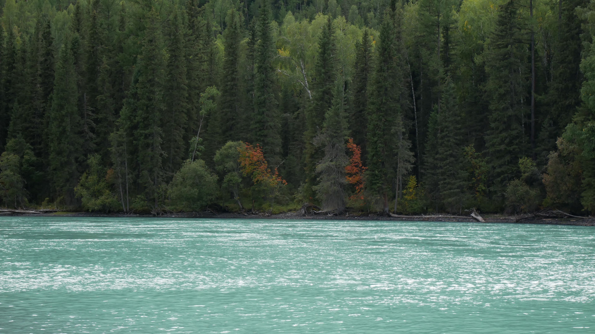 The surface of the lake at the Three Bays