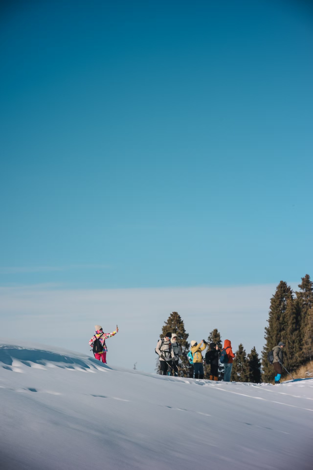 The team on the snowfield