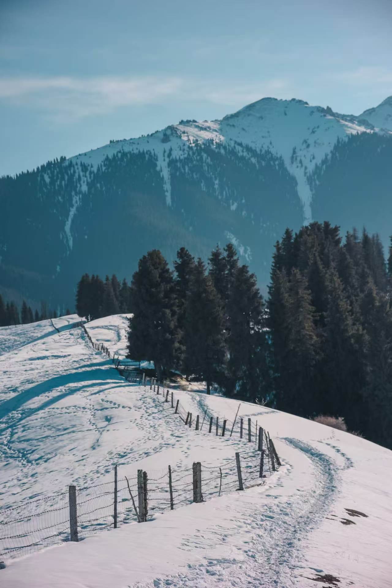 There were originally no paths in the world