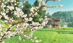 Featured image of post The cherry blossoms in my hometown have bloomed, and it's time for me to leave